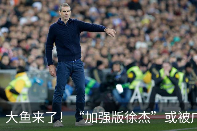 大鱼来了！“加强版徐杰”或被广东队挖走，男篮近年内最强双能卫